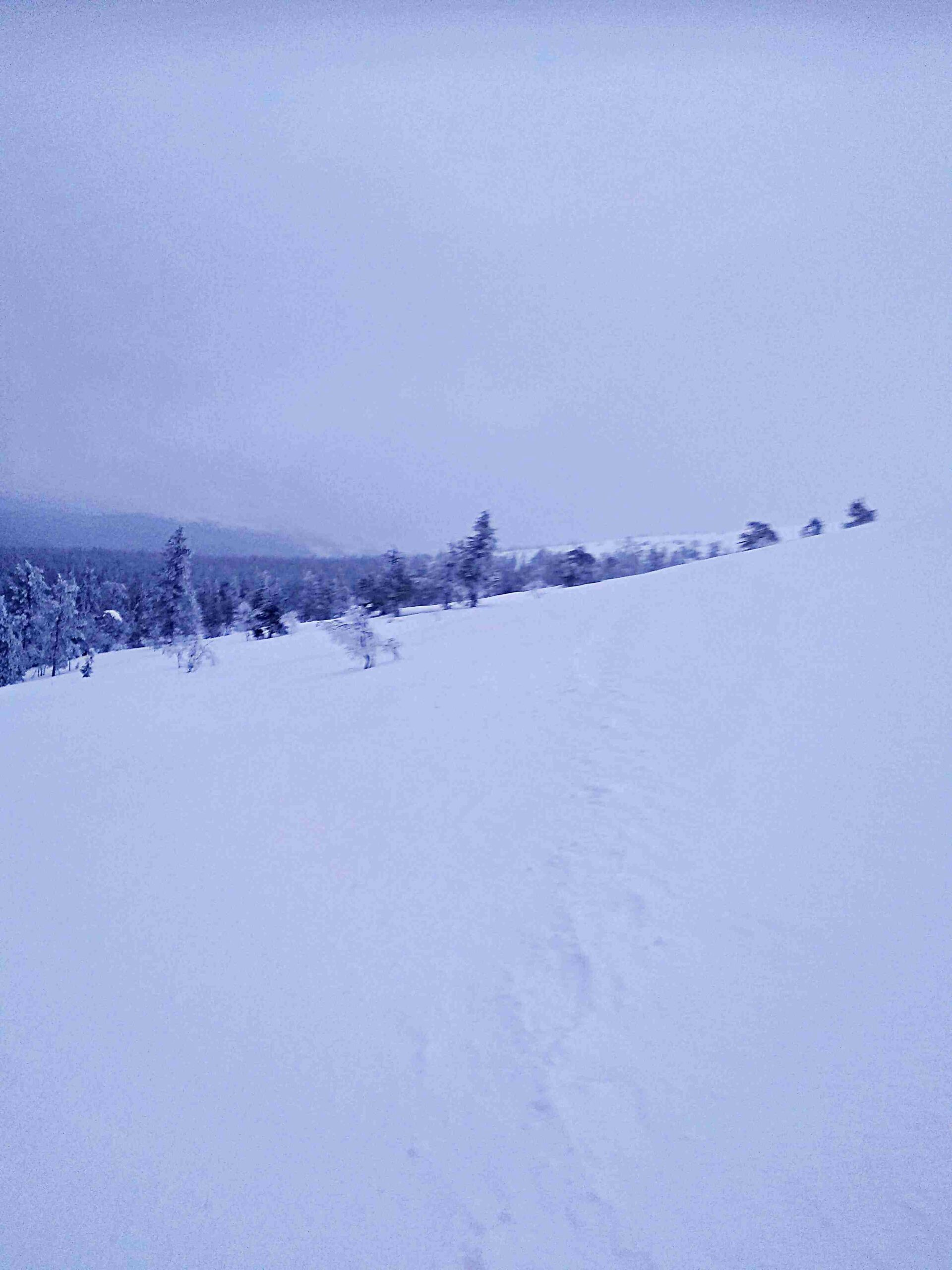 Snöskovandring på Kesänki