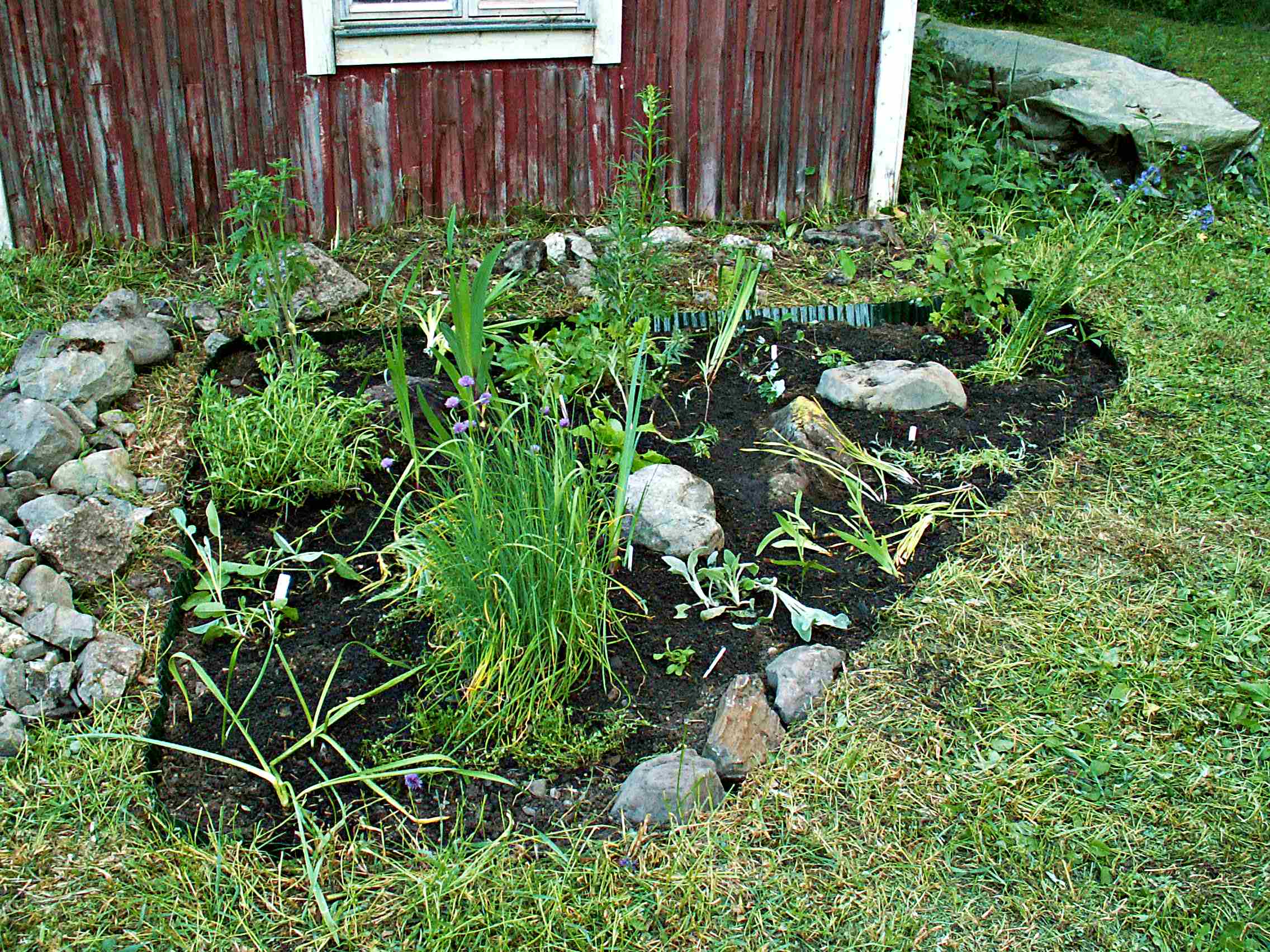 Färgprover och trädgård