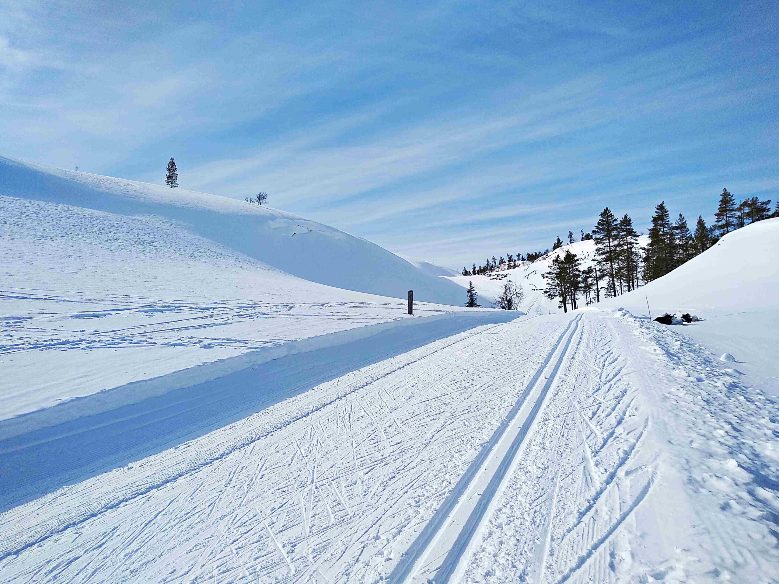Ensamåkning i Ylläs